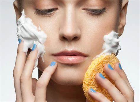 OIP - 2024-09-02T222456.749.jpg